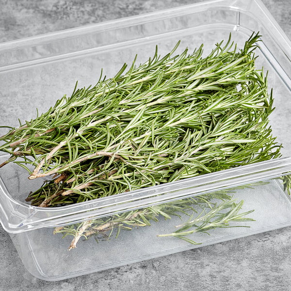 Fresh Rosemary 1 lb. - 1/Case